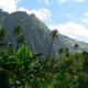 79- Vallee de Hakaui 